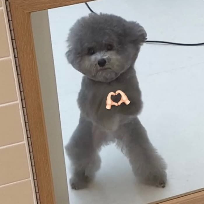 애니멀플래닛