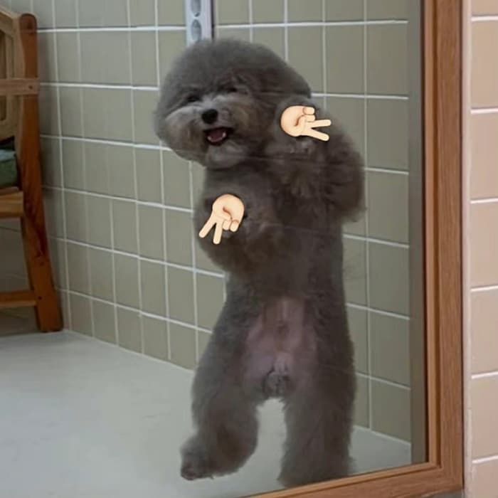 애니멀플래닛