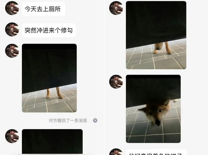 애니멀플래닛