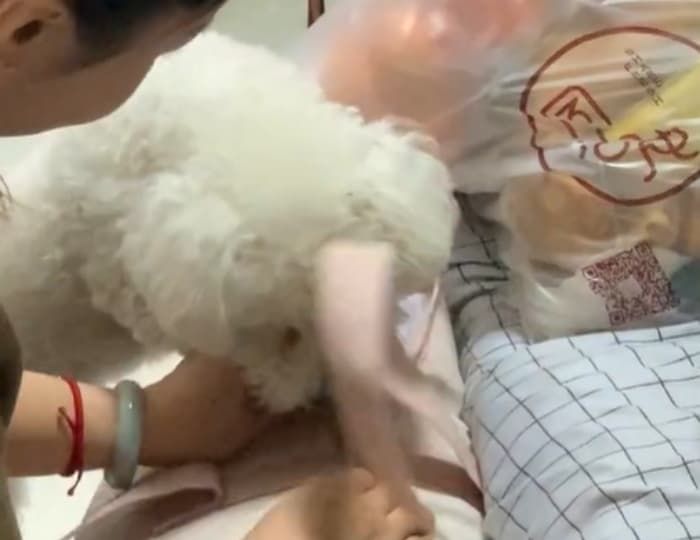 애니멀플래닛