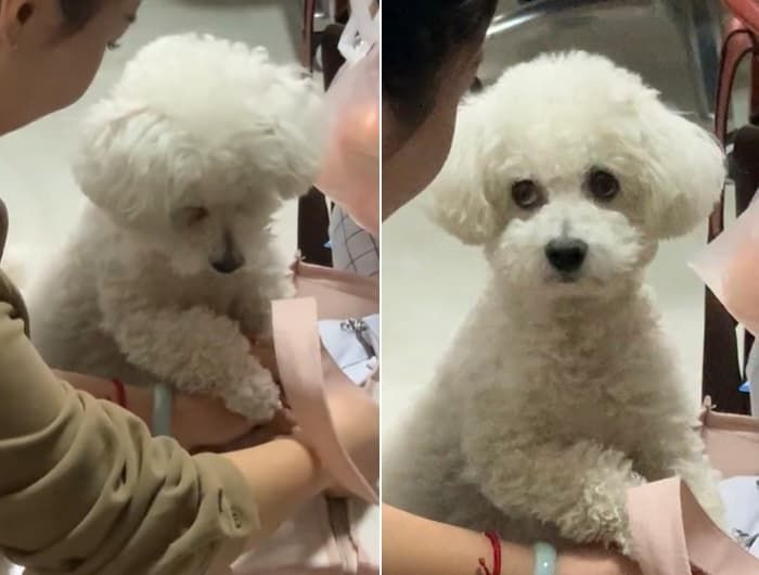 애니멀플래닛