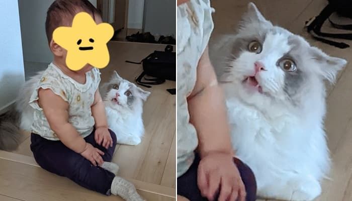 애니멀플래닛