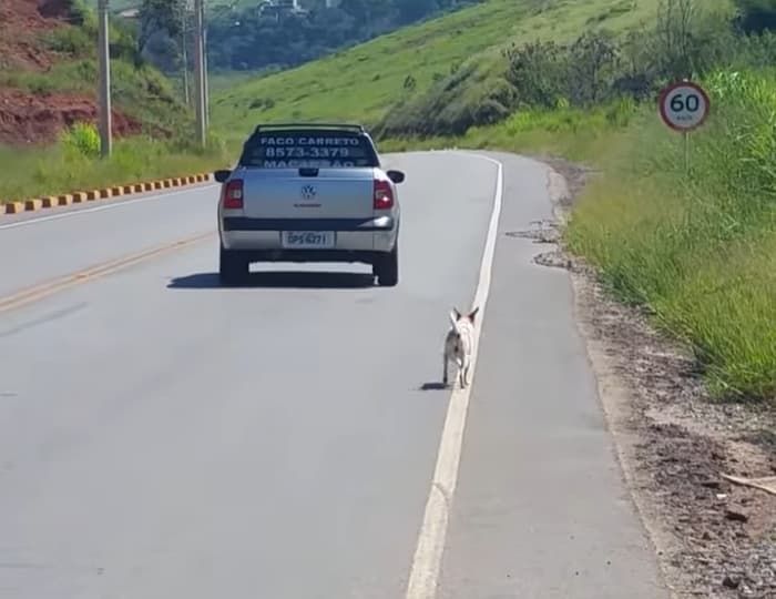 애니멀플래닛