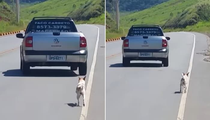 애니멀플래닛