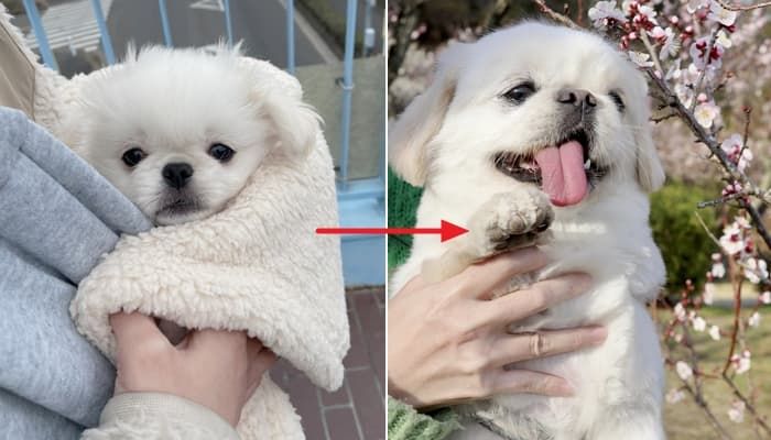 애니멀플래닛