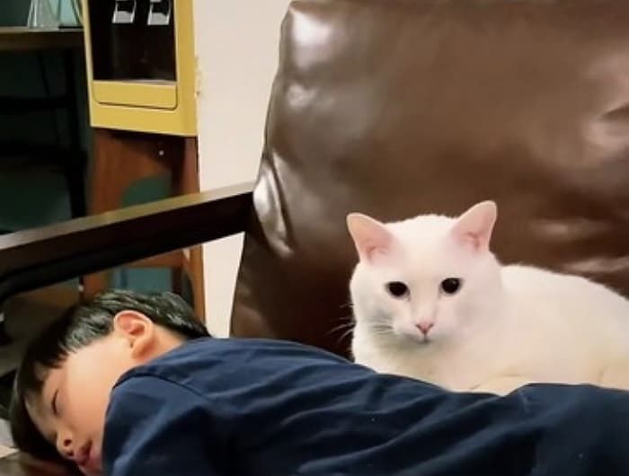 애니멀플래닛