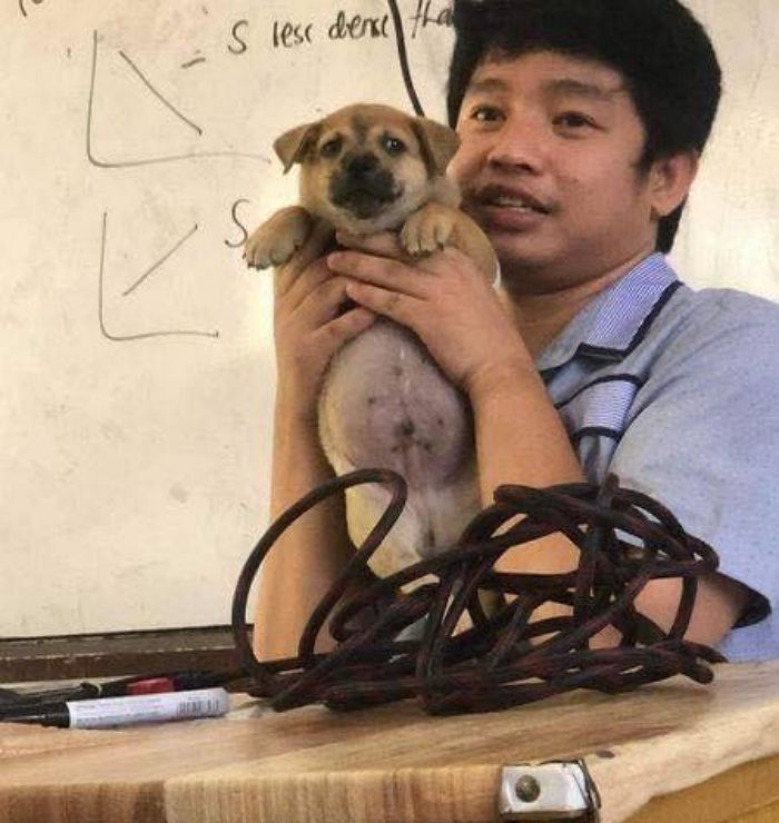 애니멀플래닛
