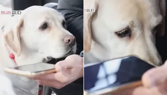 애니멀플래닛