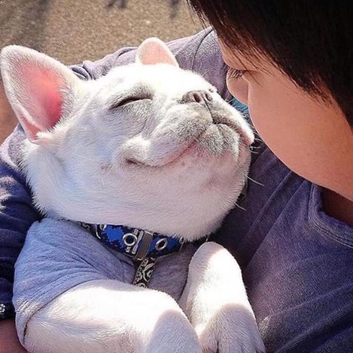애니멀플래닛