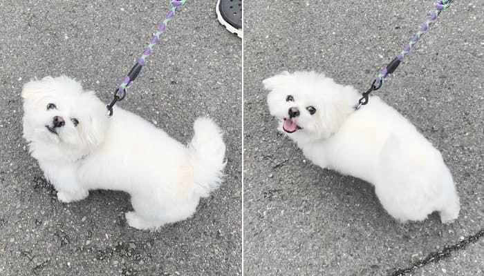 애니멀플래닛
