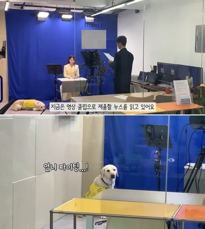 애니멀플래닛