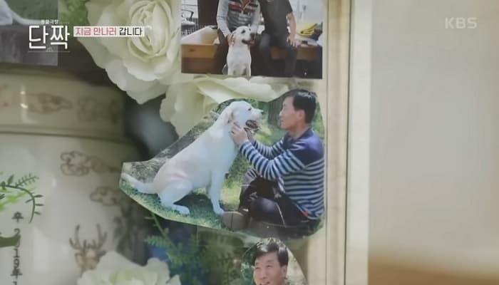 애니멀플래닛