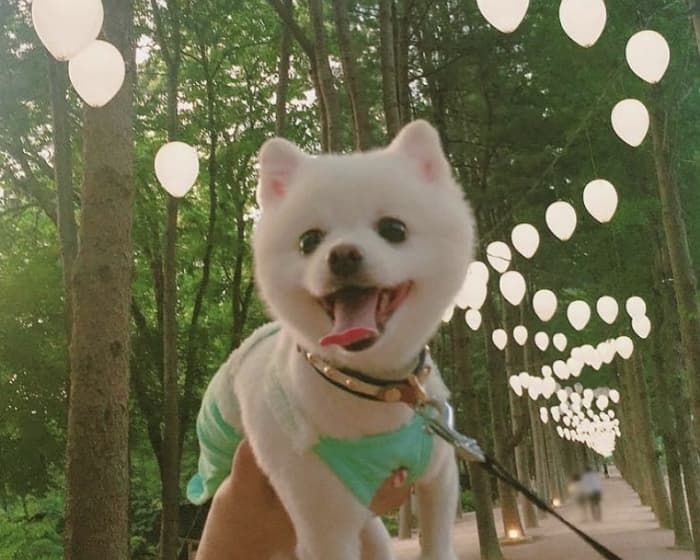애니멀플래닛
