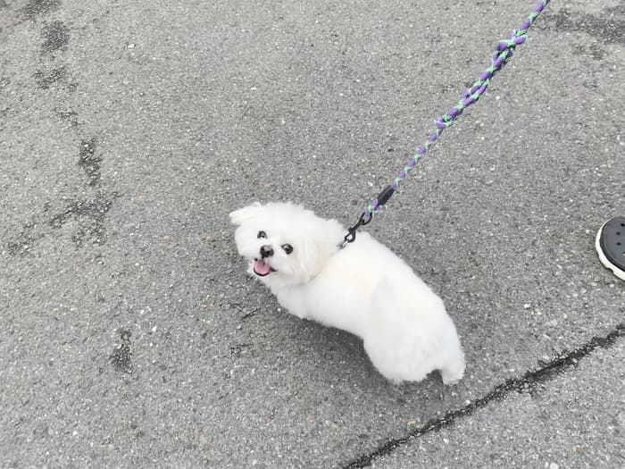 애니멀플래닛