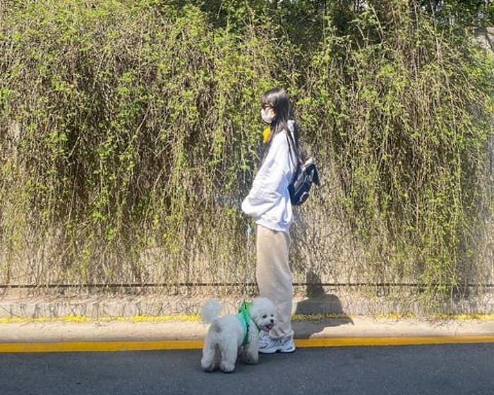 애니멀플래닛