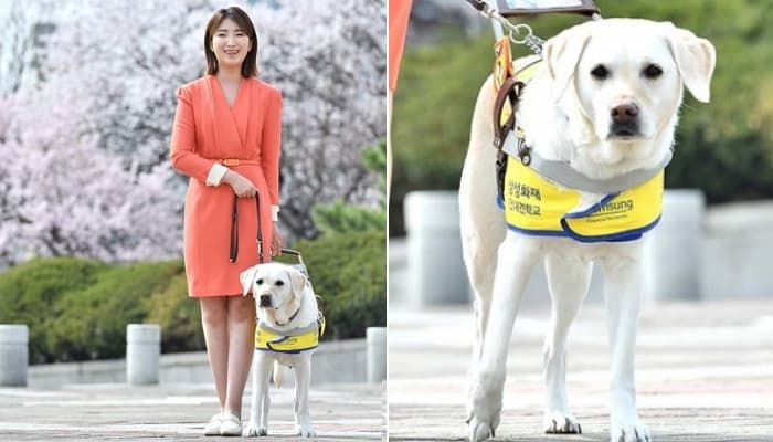 애니멀플래닛