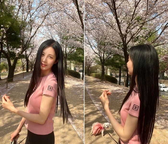 애니멀플래닛