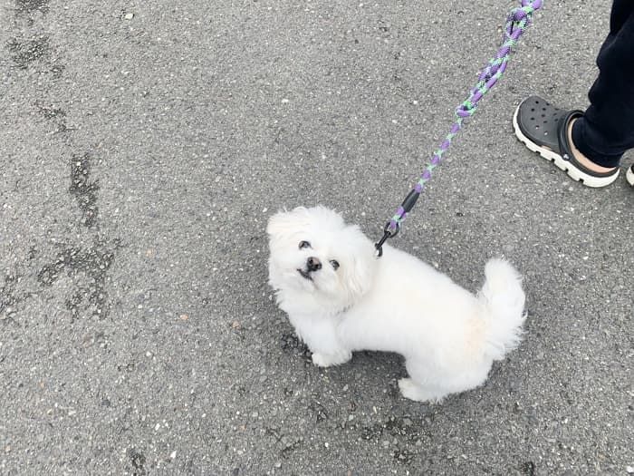 애니멀플래닛