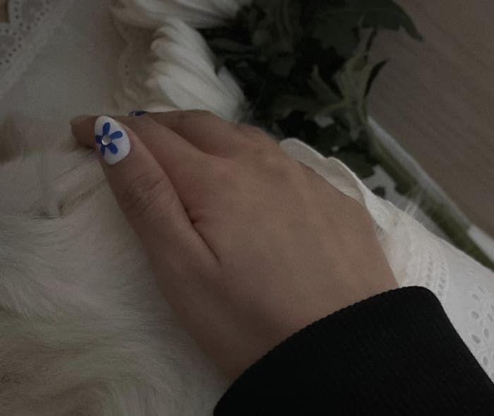 애니멀플래닛