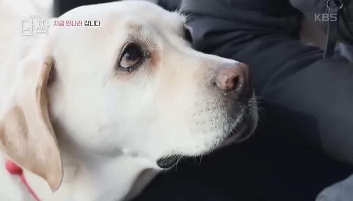 애니멀플래닛