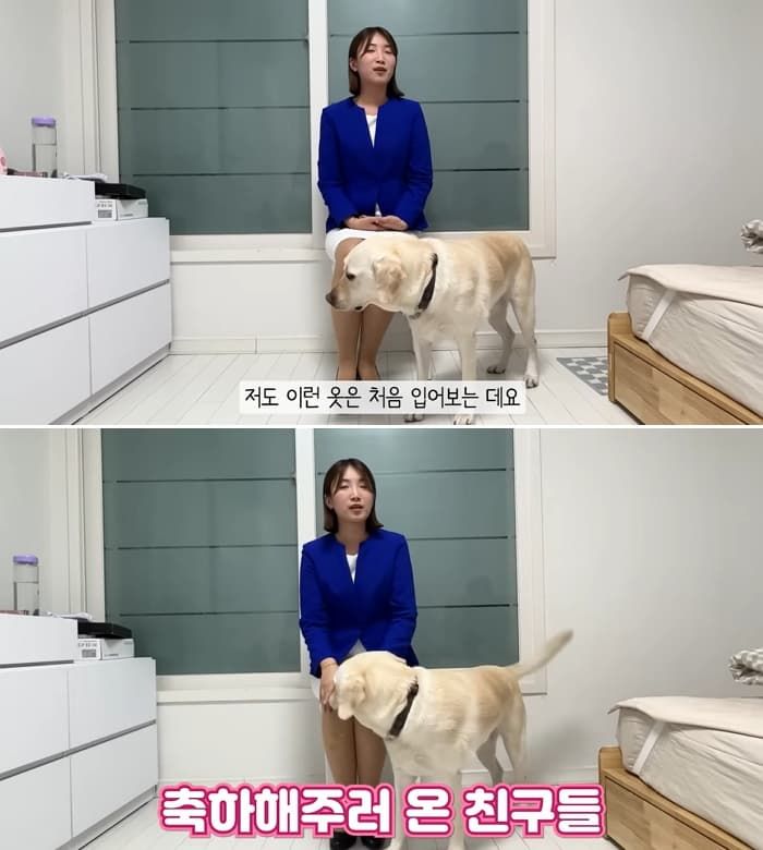 애니멀플래닛