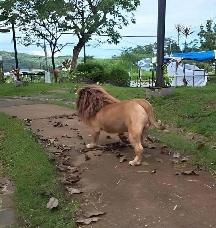 애니멀플래닛