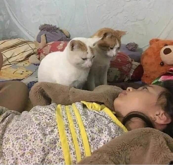 애니멀플래닛
