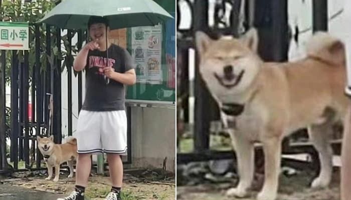애니멀플래닛