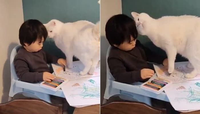 애니멀플래닛