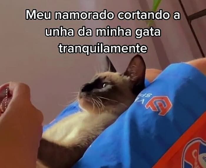 애니멀플래닛