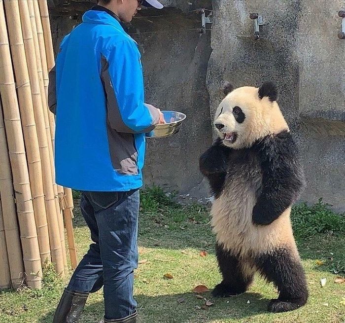 애니멀플래닛