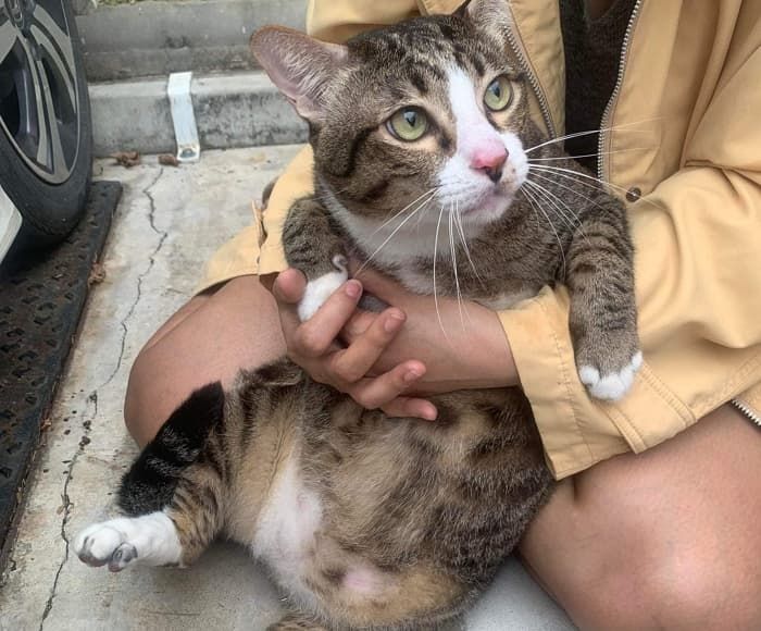 애니멀플래닛