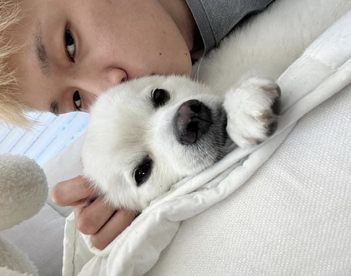 애니멀플래닛