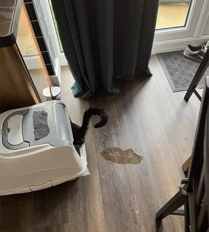 애니멀플래닛