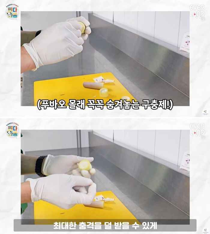 애니멀플래닛