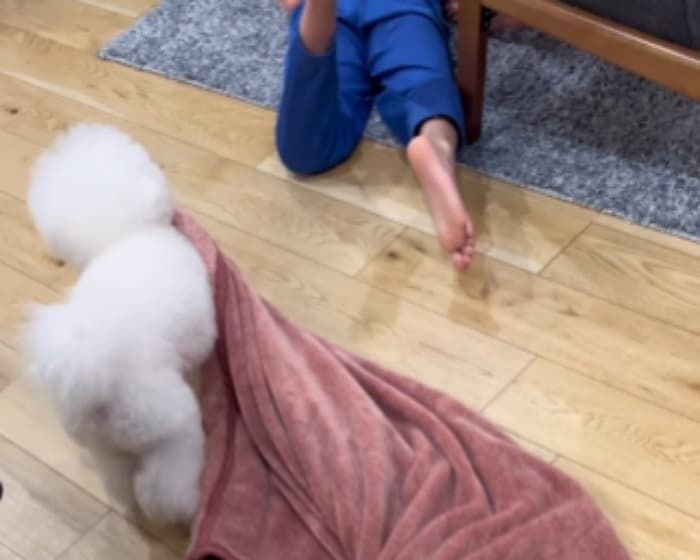 애니멀플래닛