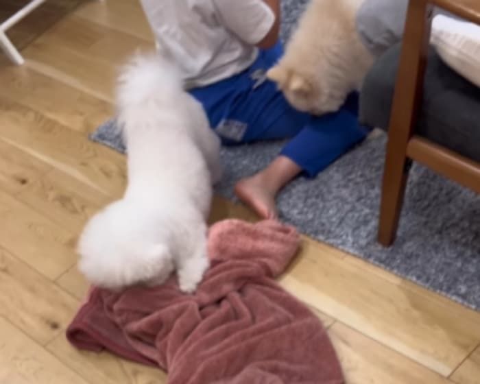 애니멀플래닛