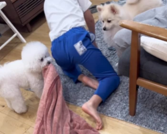 애니멀플래닛