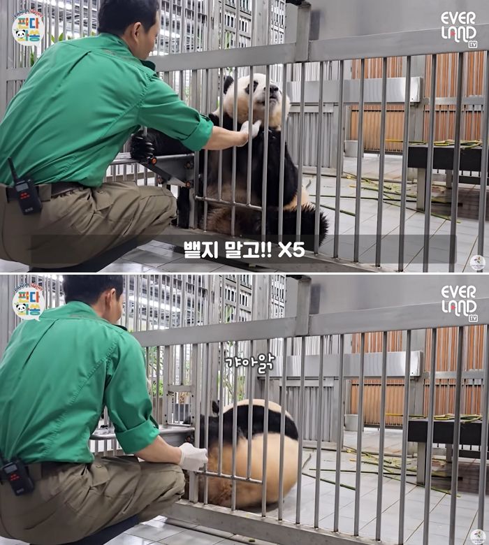 애니멀플래닛