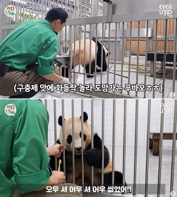 애니멀플래닛