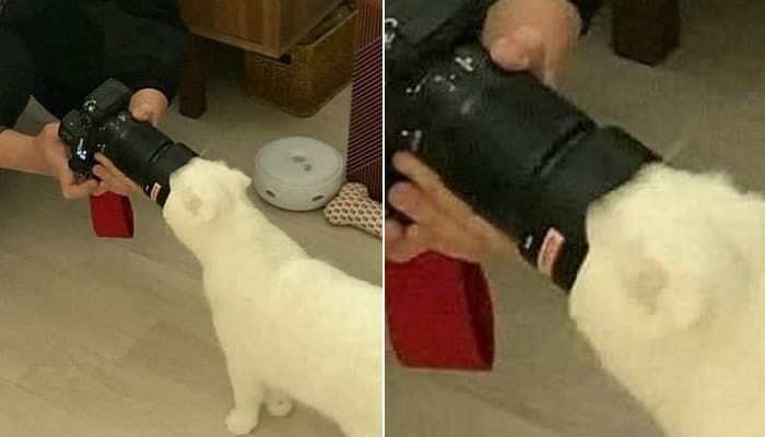 애니멀플래닛