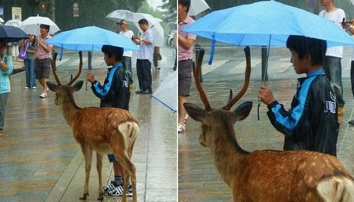 애니멀플래닛