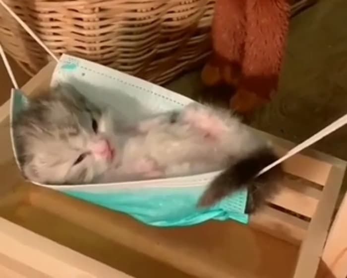 애니멀플래닛
