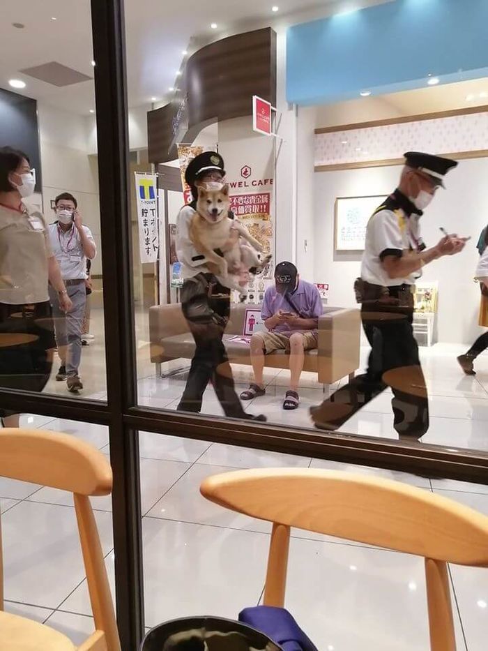 애니멀플래닛