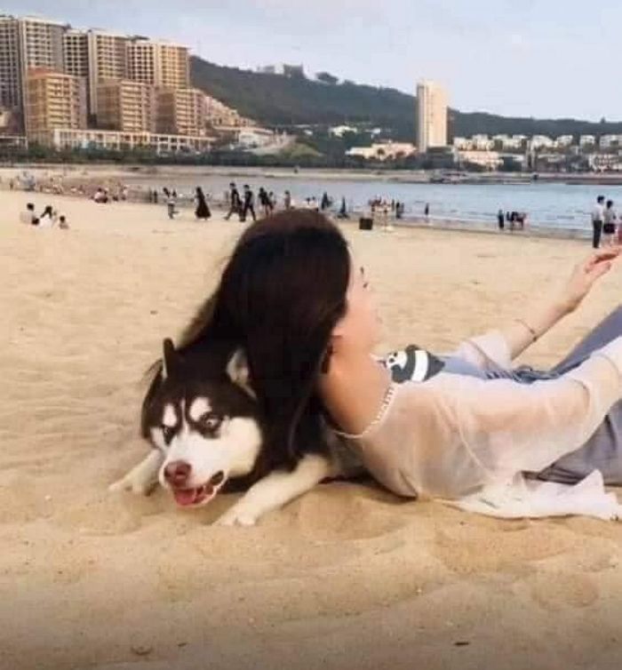 애니멀플래닛