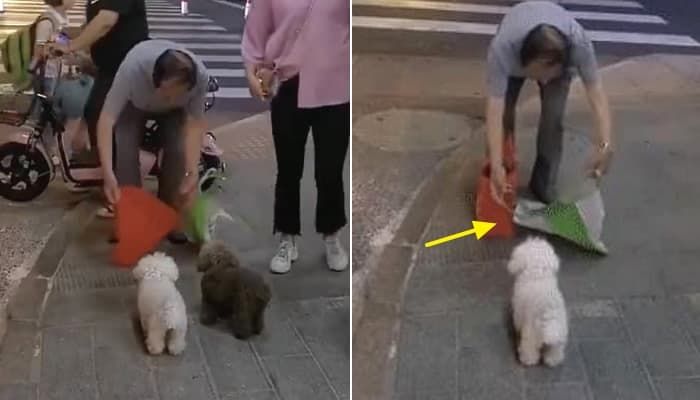 애니멀플래닛