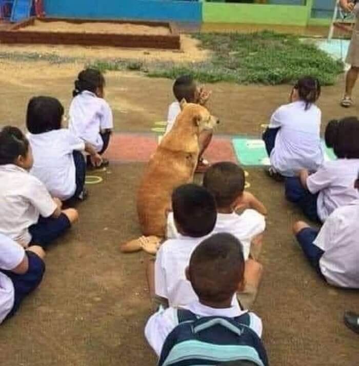 애니멀플래닛