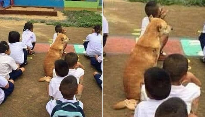 애니멀플래닛