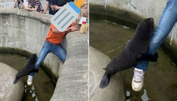 애니멀플래닛