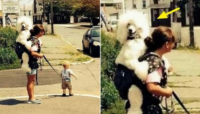 애니멀플래닛